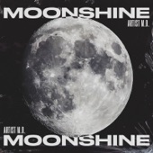 Moonshine artwork