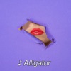 Alligator - Single
