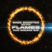 Flames (feat. DCX) [Dub Breaks Mix] artwork