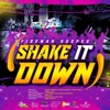 Shake It Down - Single