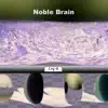 Noble Brain album lyrics, reviews, download