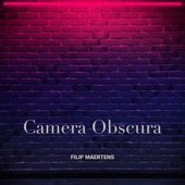 Camera Obscura artwork