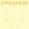 Bad Day (feat. Jonah Baker) - Pomplamoose lyrics