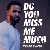 Craig David - Do You Miss Me Much artwork