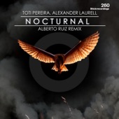 Nocturnal artwork