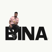 Bina artwork