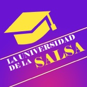 La Universidad De La Salsa artwork