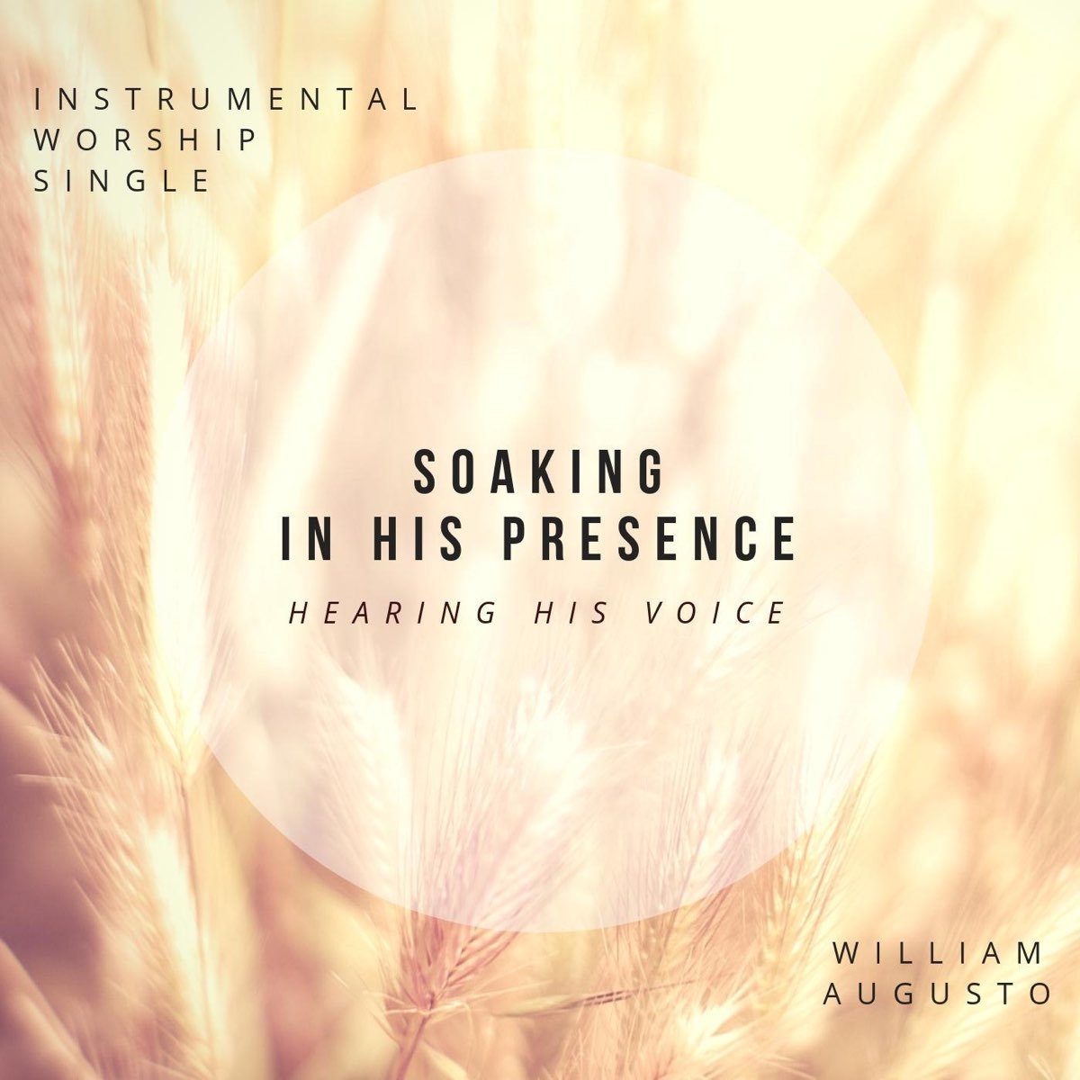 Instrumental Worship Soaking Presence