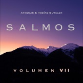 Salmos, Vol. VII artwork