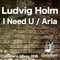 I Need U - Ludvig Holm lyrics