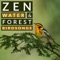 Forest Birds Chirping - Natural Sound Makers, Nature Recordings & Natural Sample Makers lyrics