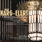 Karg-Elert: Ultimate Organ Works Vol. 8 artwork