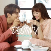 Destiny (feat. Park Jung Min) artwork