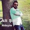 Ali Şah - Derdin Nedir Söyle Turnam