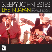 Live in Japan with Hammie Nixon - Sleepy John Estes