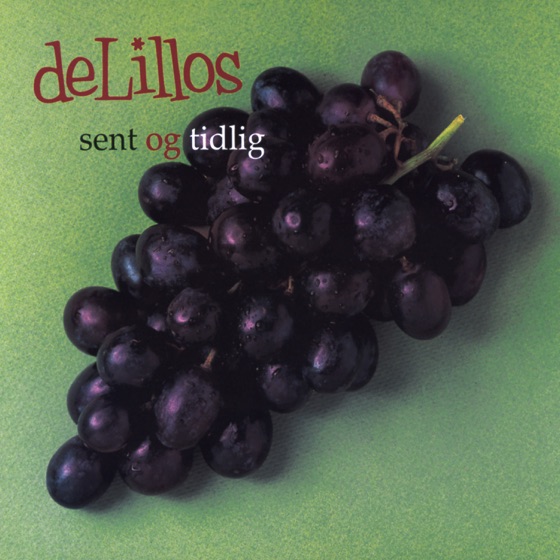 Cover artwork for Mandarinskall