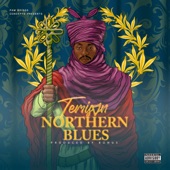 Northern Blues artwork