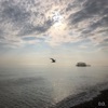 Everything Is Present - EP