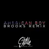 American Boy (feat. Kanye West) [Brooks Remix] - Single album lyrics, reviews, download