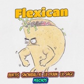 Flexican (feat. Lil Train, Snowball K & Lil Sage) artwork