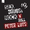 Sex, Drugs & Rock 'n' Roll artwork