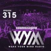Wake Your Mind Radio 315 artwork