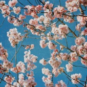 Cherry Blossom Origami - EP artwork