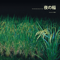 Reiko Kudo - Rice Field Silently Riping In the Night artwork