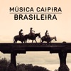 Música Caipira Brasileira
