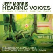 Hearing Voices: Human Sounds, Digital Ears artwork