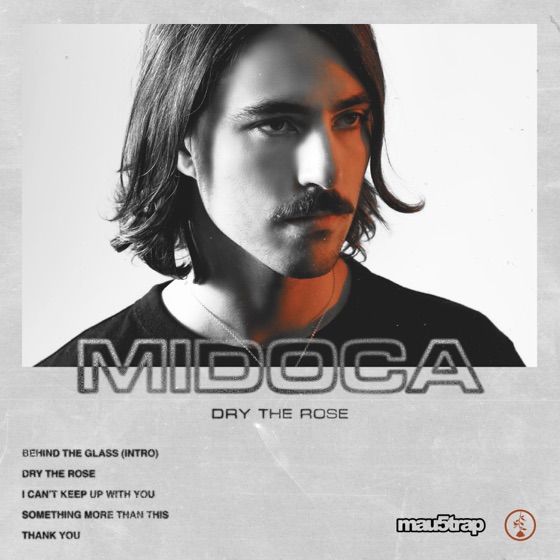 Cover artwork for Thank You
