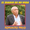 El Diario de Mi Vida - Single