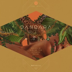 Dandara - Caracal