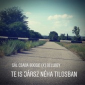 Te is jársz néha tilosban (feat. Bellboy) artwork