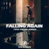 Falling Again - Single