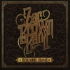 Zac Brown Band - Roots