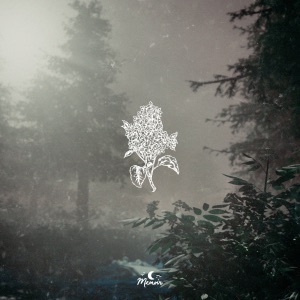 Lilac - Single