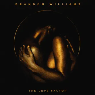 The Love Factor (Interlude) by Brandon Williams song reviws