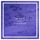 Mexico (Punctual Remix) [feat. Punctual] artwork