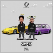 Gang artwork