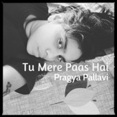 Tu Mere Paas Hai artwork