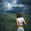 Senorita (Boudi Aridi Cover Remix) - Single