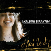 Kalbimi Bıraktım - Hirai Zerdüş