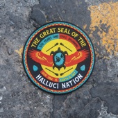 We Are the Halluci Nation artwork