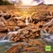 Relaxing Mountain Water Stream cover