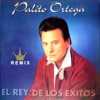 El Rey de los Éxitos (Remix)