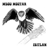 Mdou Moctar - Tiknass (Sunbone)