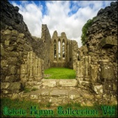 Celtic Hymn Collection VII artwork