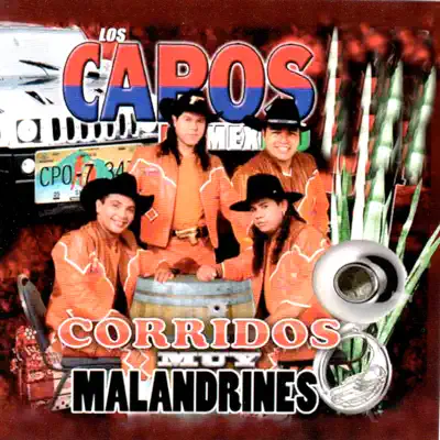 Corridos Malandrines - Los Capos de Mexico