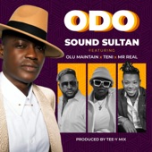 Odo (feat. Olu Maintain, Teni & Mr. Real) artwork